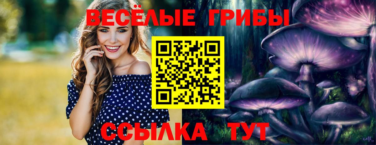 Псилоцибиновые грибы Magic Shrooms  Псилоцибиновые грибы Cubensis  Каменск-Шахтинский  Вход с VPN 