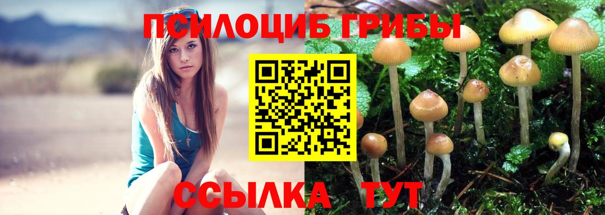 Галлюциногенные грибы Magic Shrooms Каменск-Шахтинский